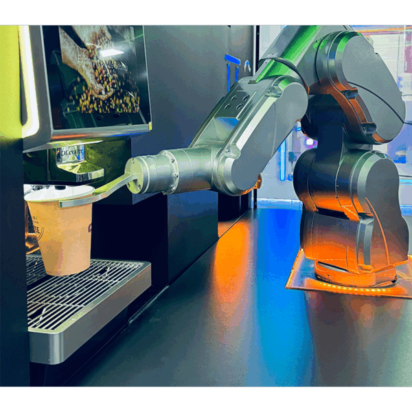(1) bras robotisé cf c sjan02 03